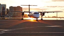اعثر على رحلات طيران رخيصة على Porter Airlines