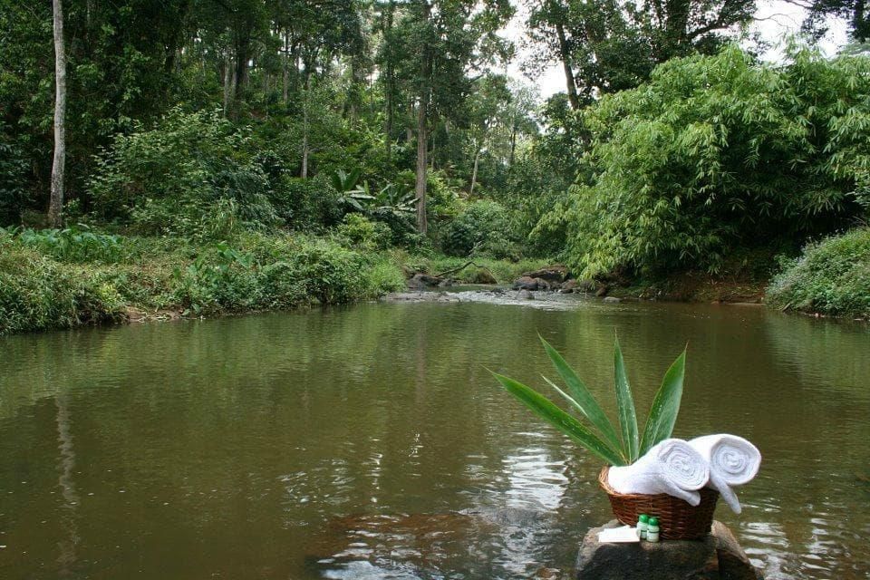 المظهر الخارجي