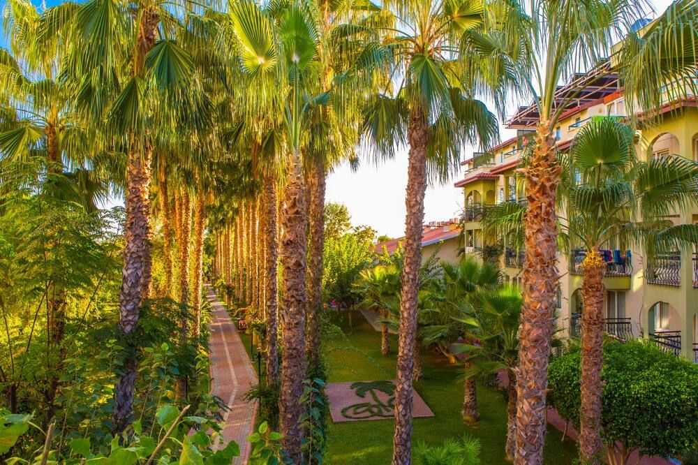 المظهر الخارجي