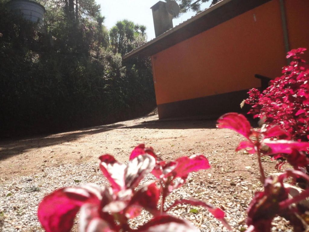 المظهر الخارجي