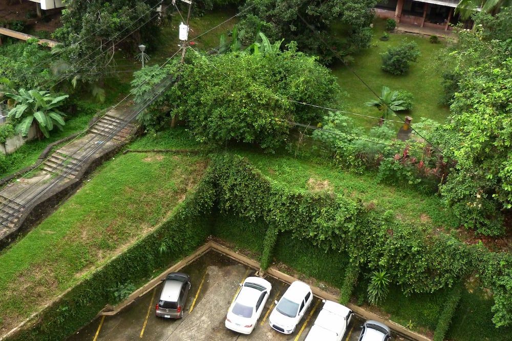 المظهر الخارجي