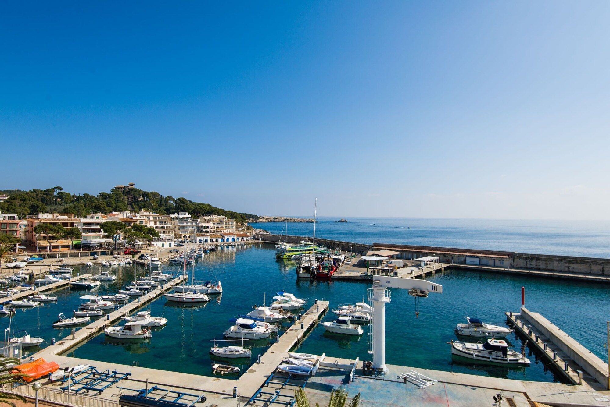 المظهر الخارجي