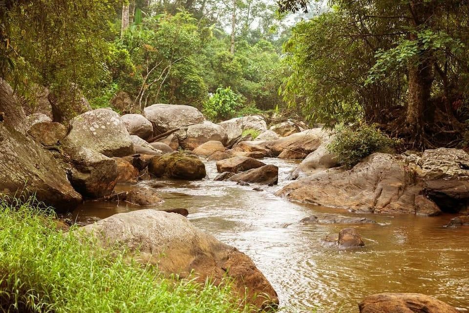 المظهر الخارجي