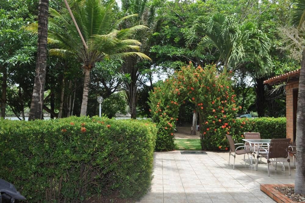 المظهر الخارجي