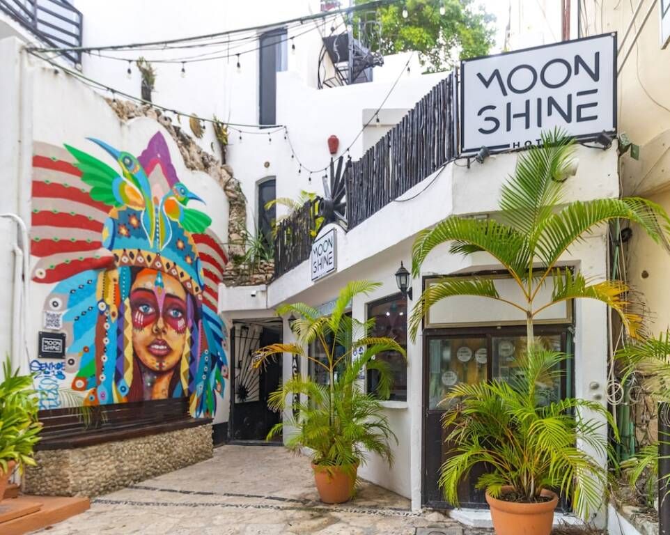 المظهر الخارجي