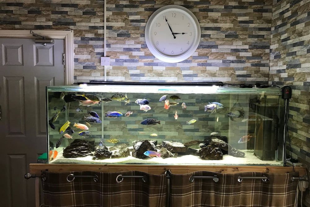 وسائل راحة في الغرف