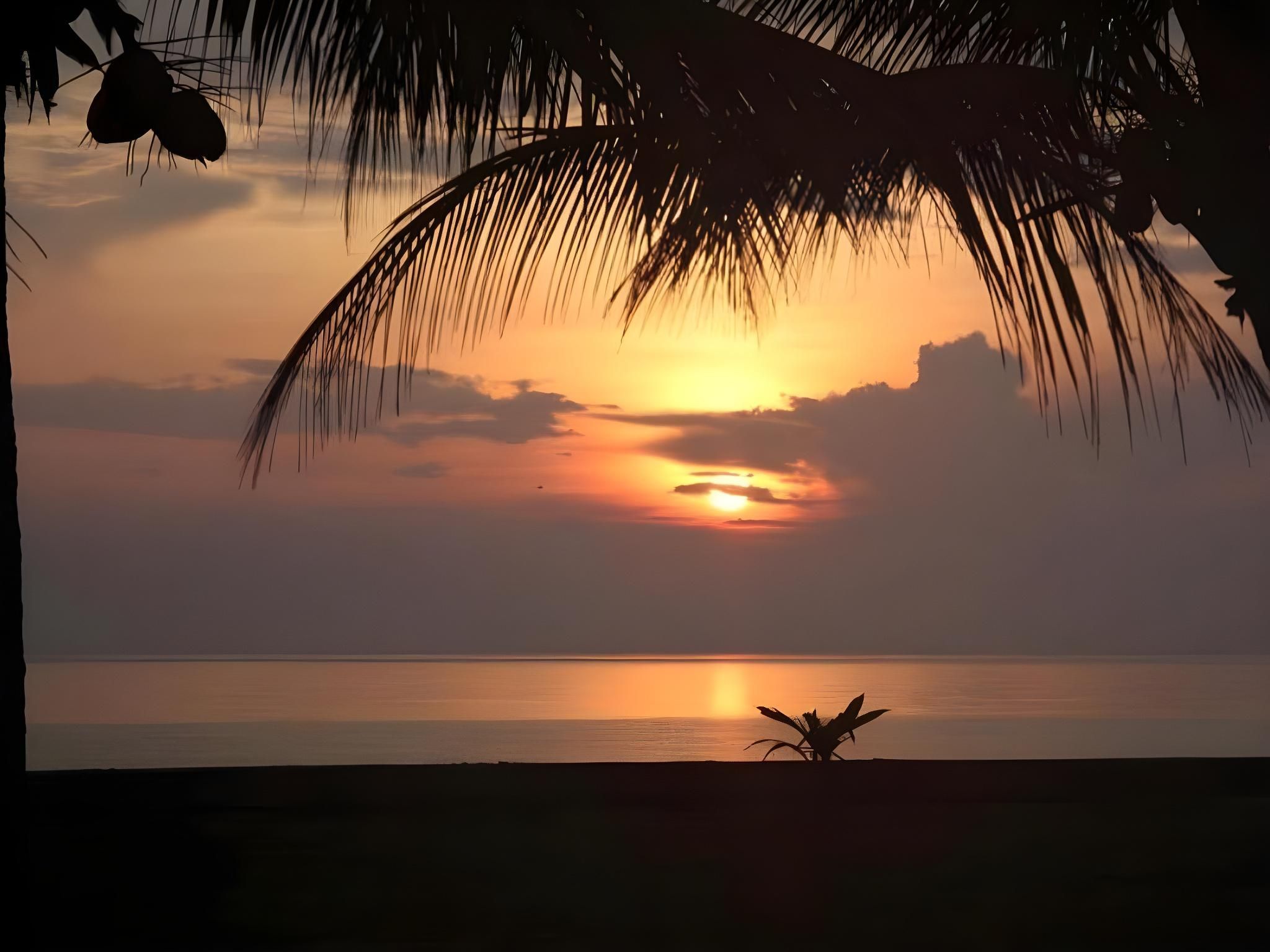 المظهر الخارجي