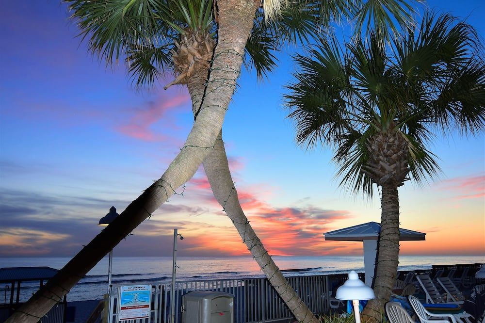 المظهر الخارجي