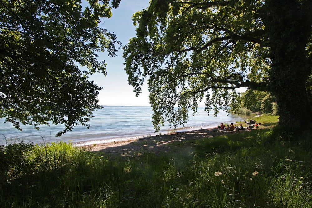 المظهر الخارجي