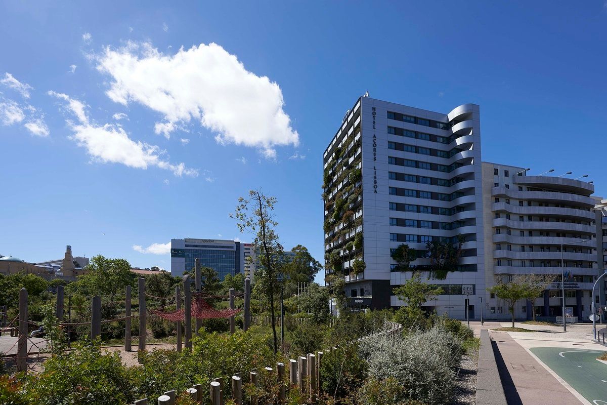 المظهر الخارجي