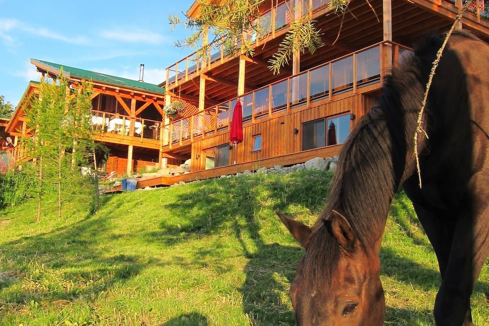 المظهر الخارجي