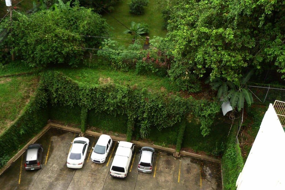 المظهر الخارجي