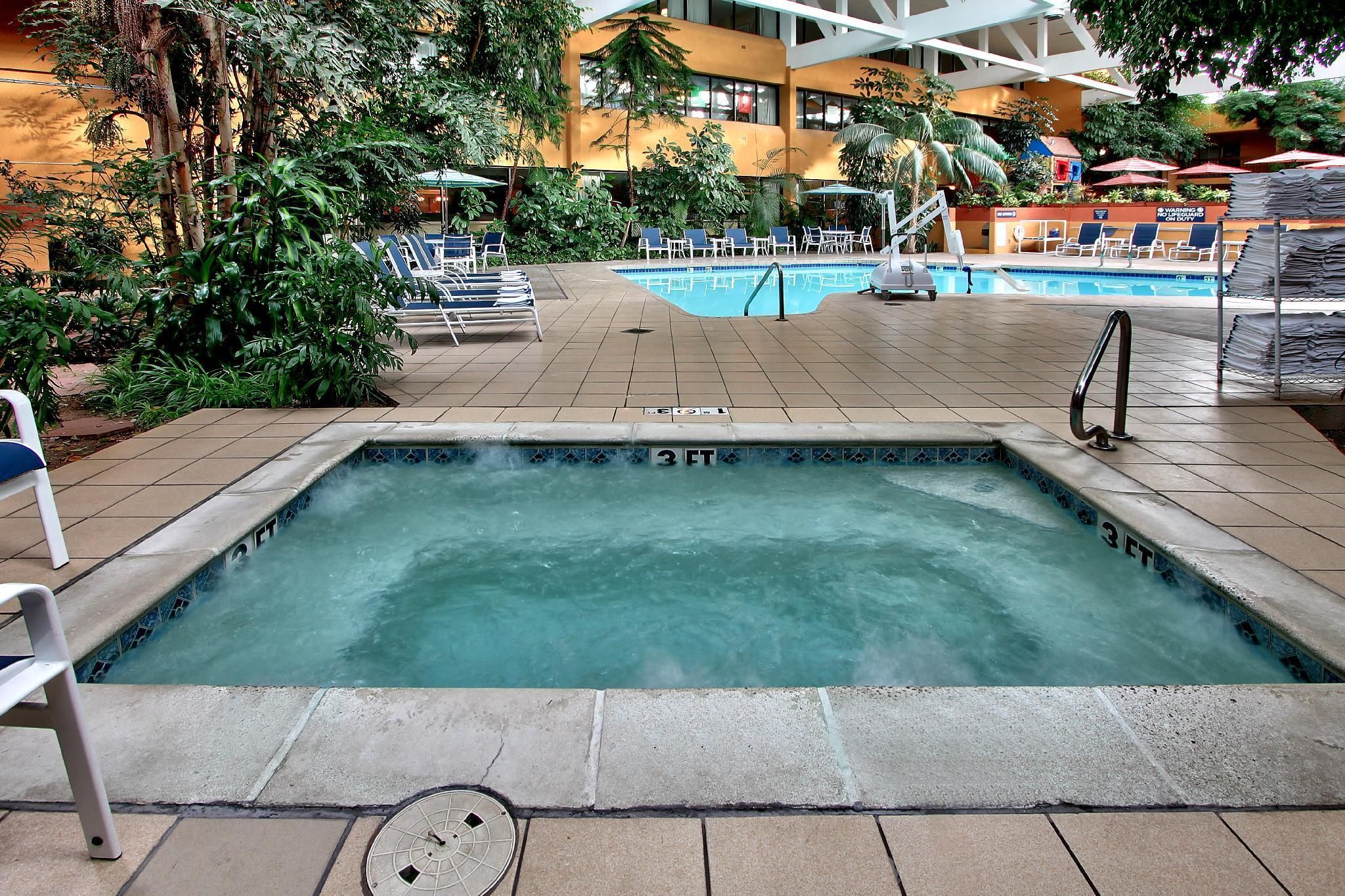 حوض السباحة