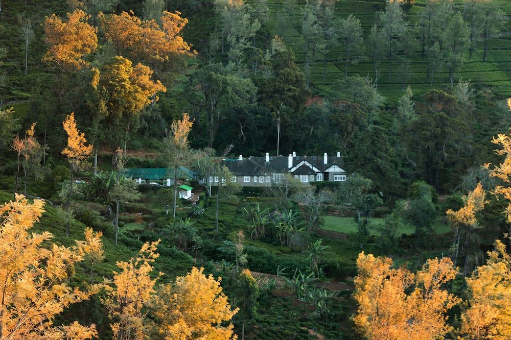 المظهر الخارجي