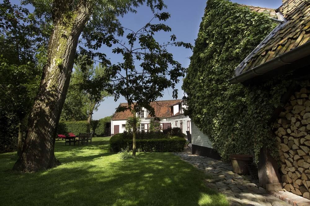 المظهر الخارجي