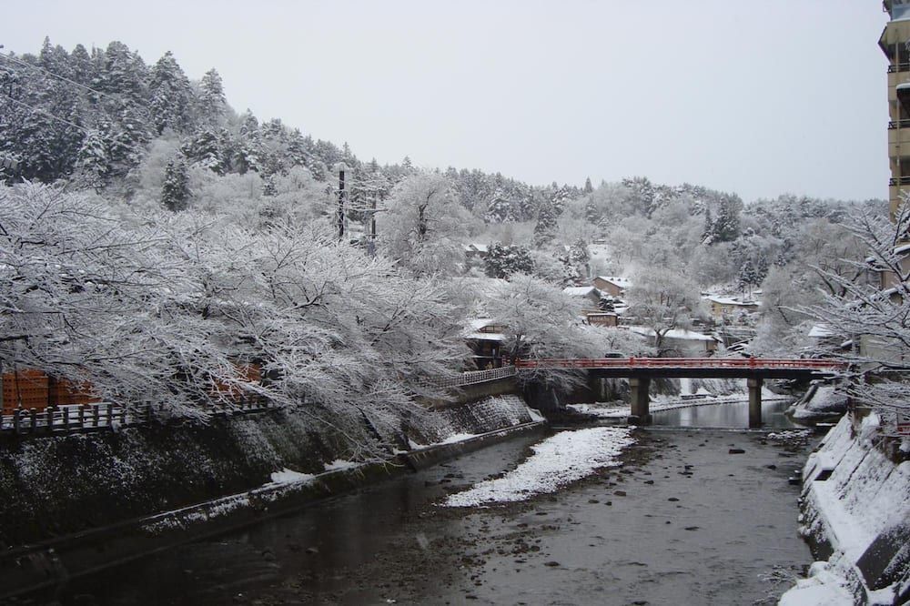 المظهر الخارجي