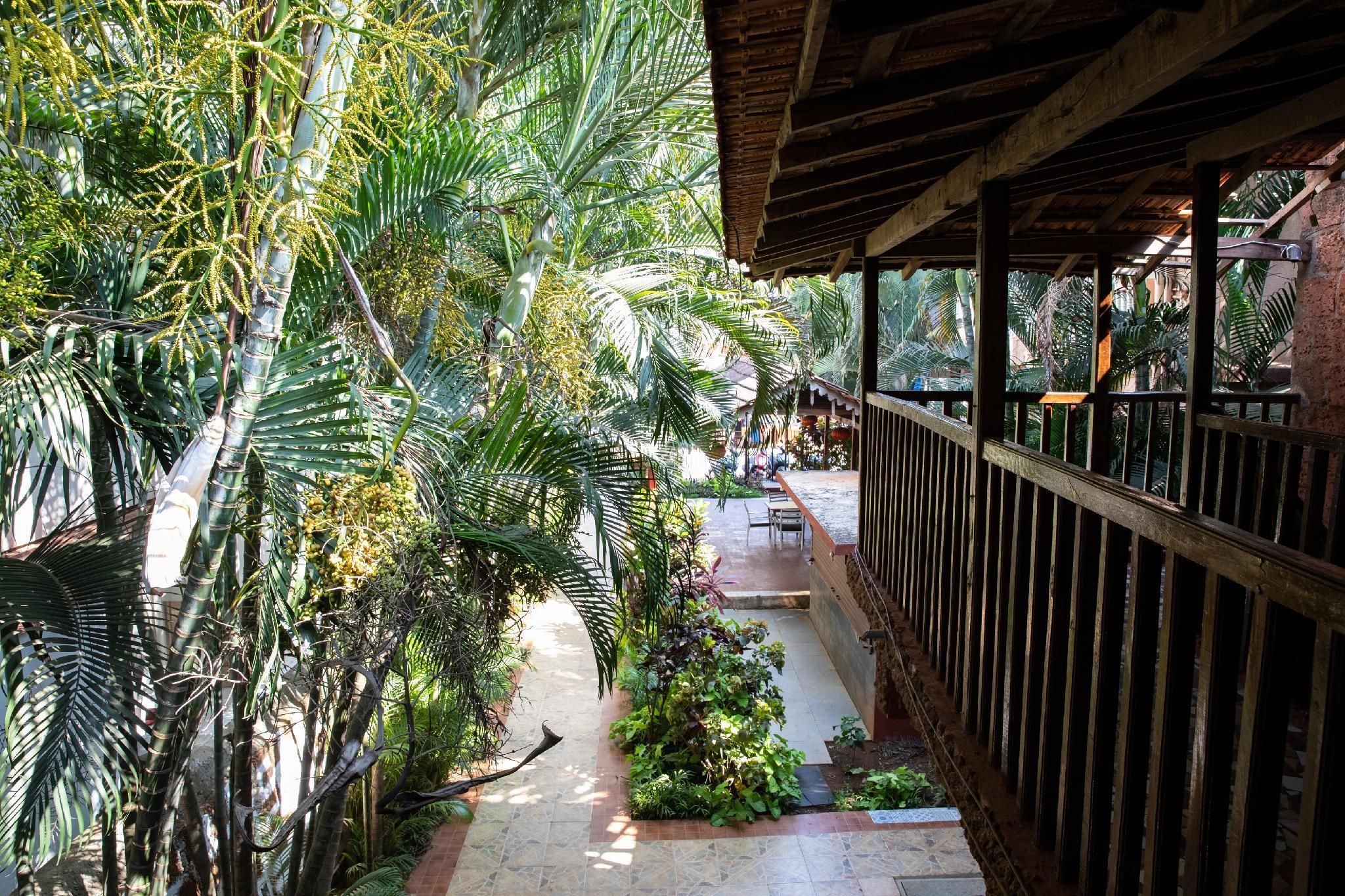 المظهر الخارجي