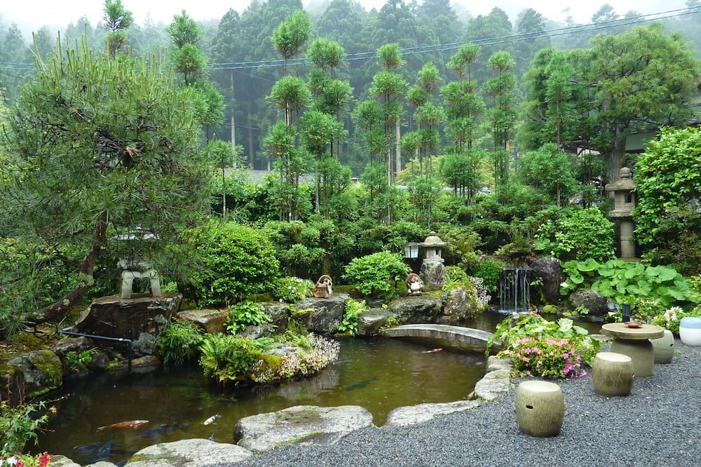 المظهر الخارجي