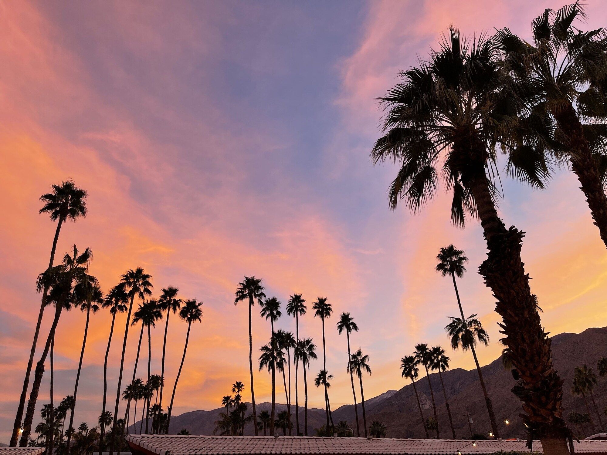 المظهر الخارجي