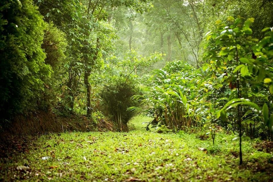 المظهر الخارجي