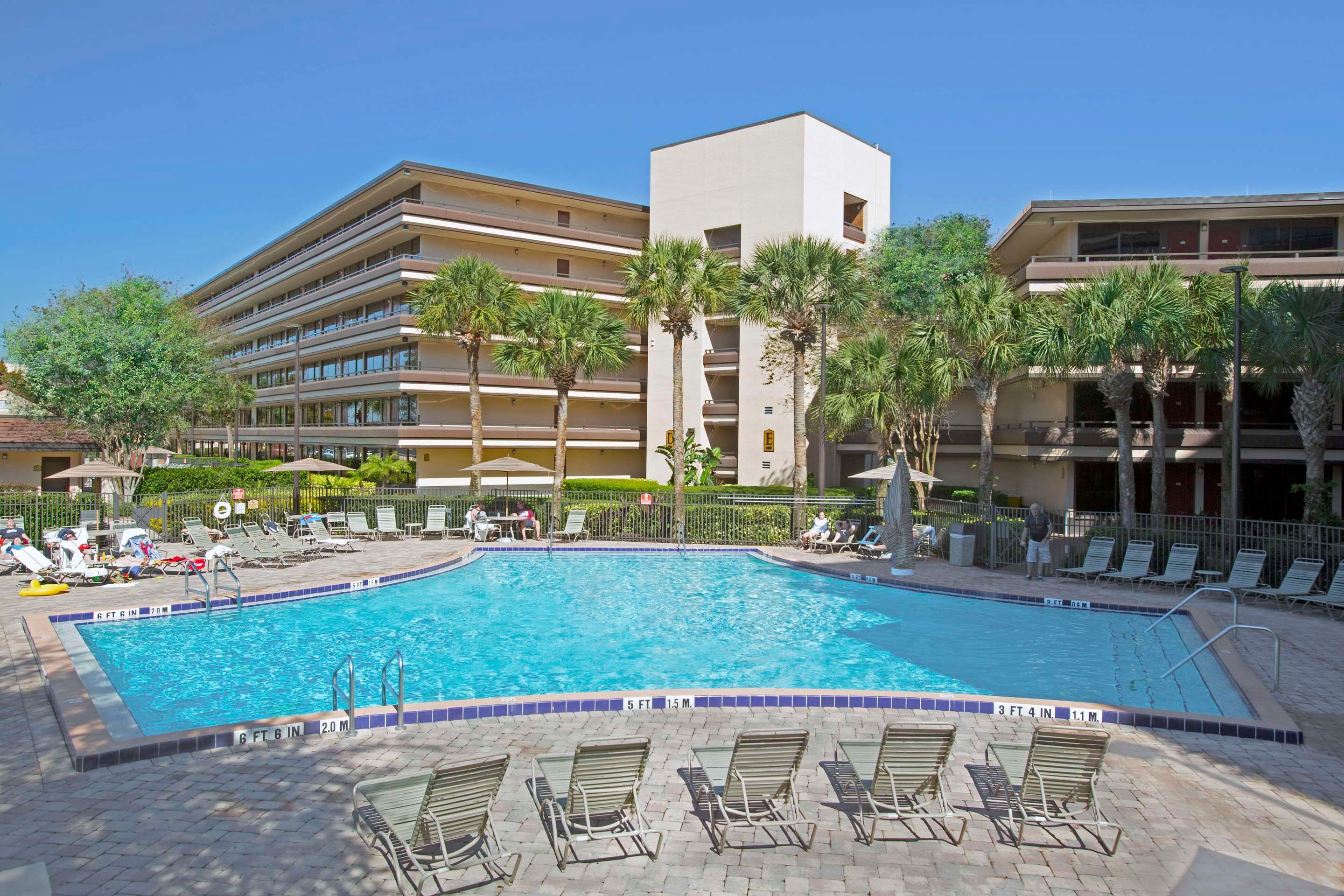 حوض السباحة