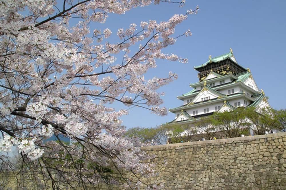 المظهر الخارجي