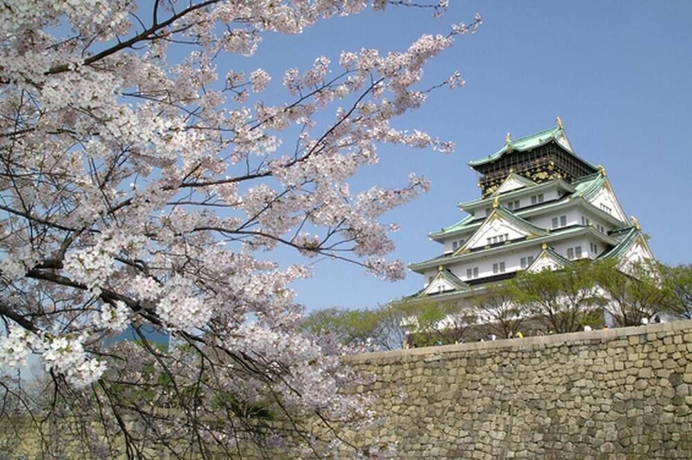 المظهر الخارجي