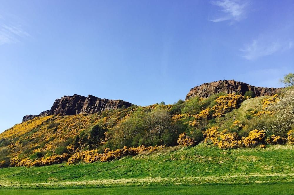 المظهر الخارجي