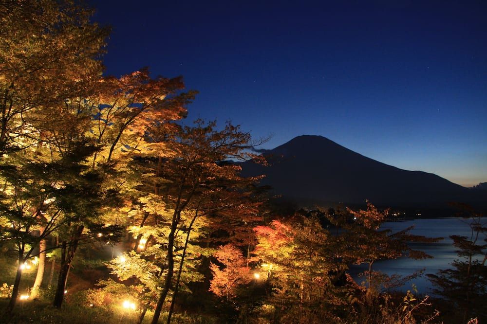 المظهر الخارجي