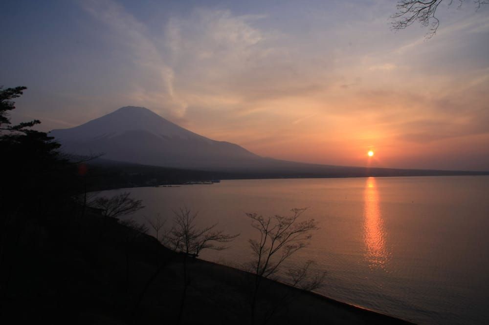 المظهر الخارجي