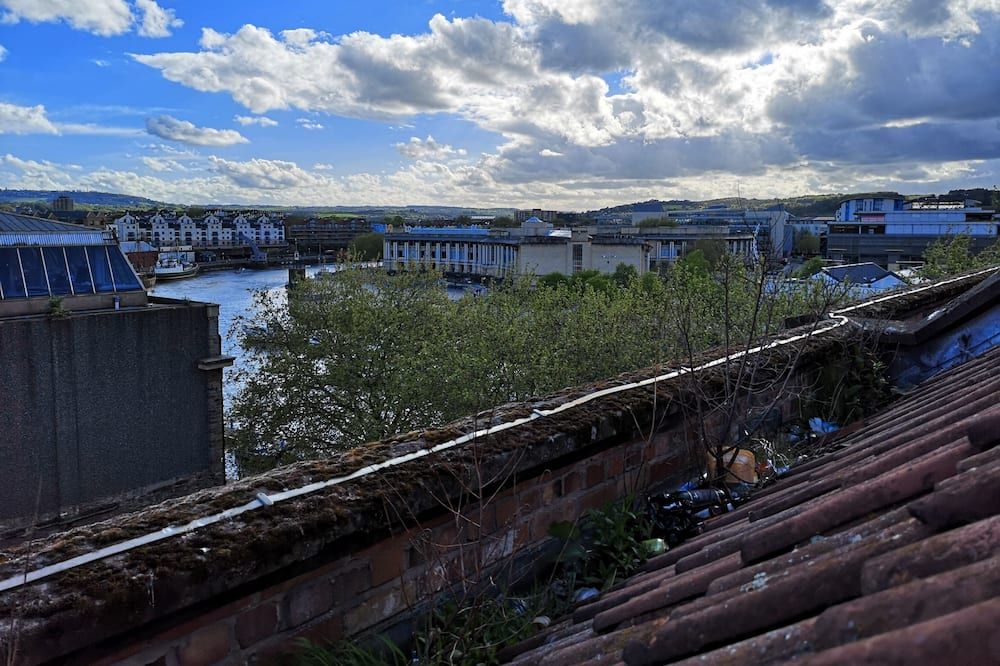 المظهر الخارجي