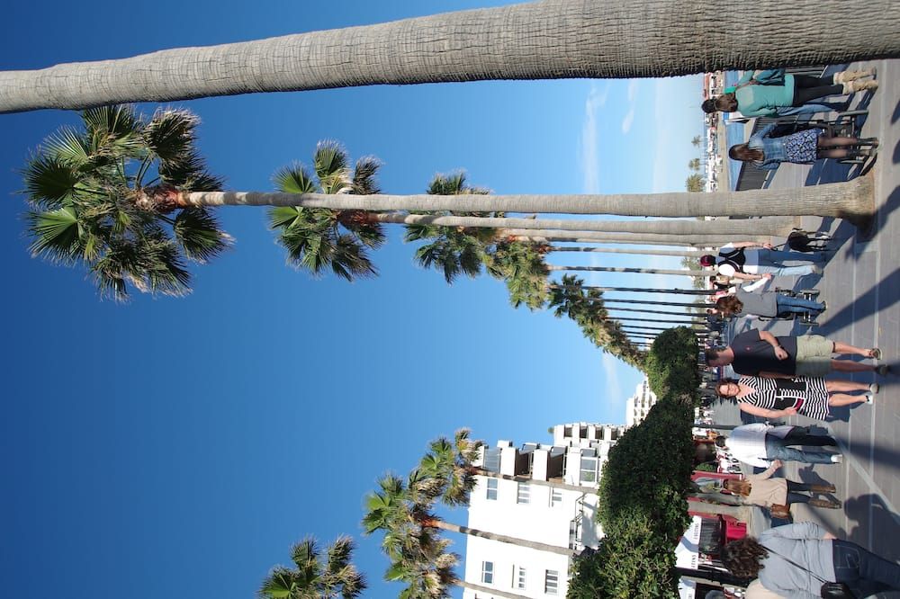 المظهر الخارجي