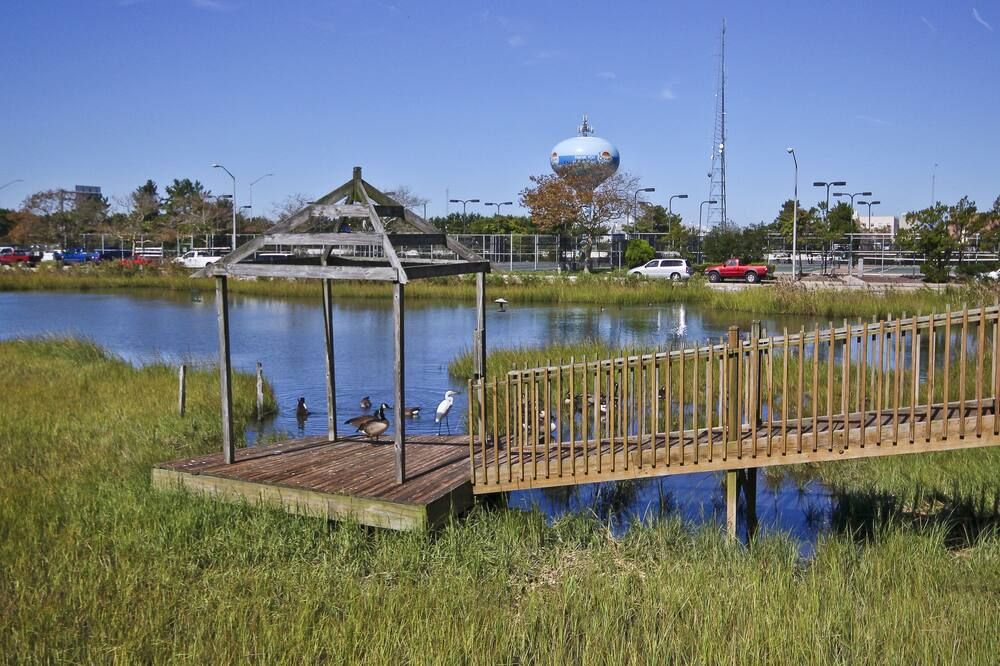 المظهر الخارجي