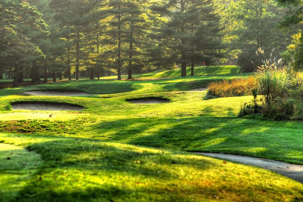 المظهر الخارجي