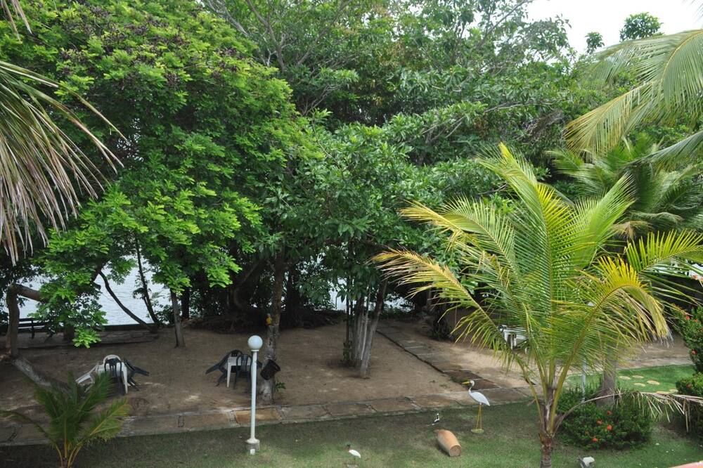 المظهر الخارجي