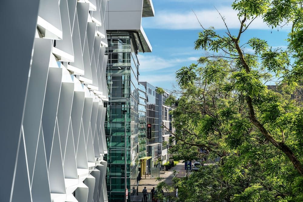 المظهر الخارجي