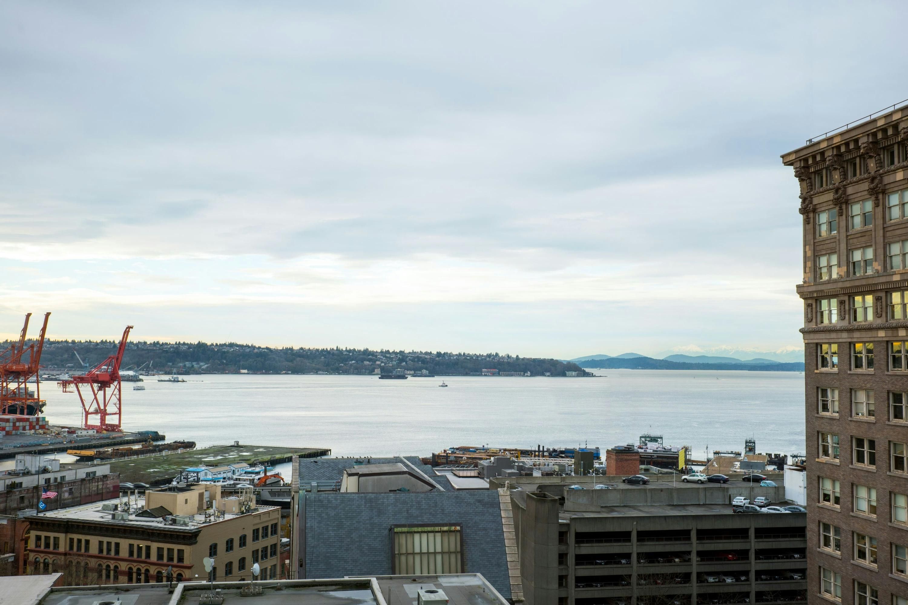 المظهر الخارجي