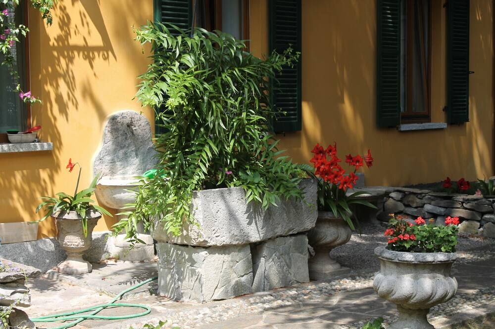 المظهر الخارجي