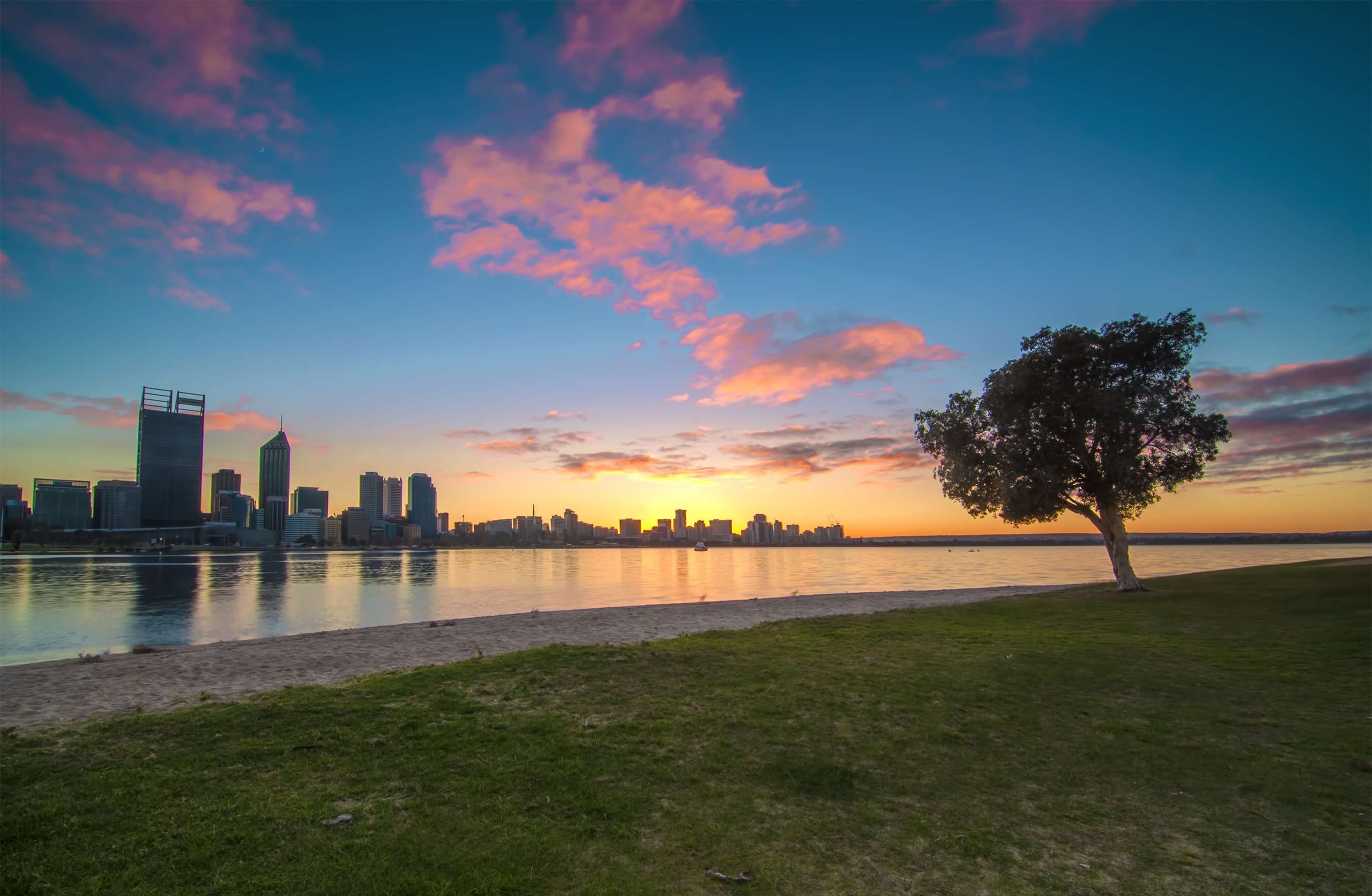 المظهر الخارجي