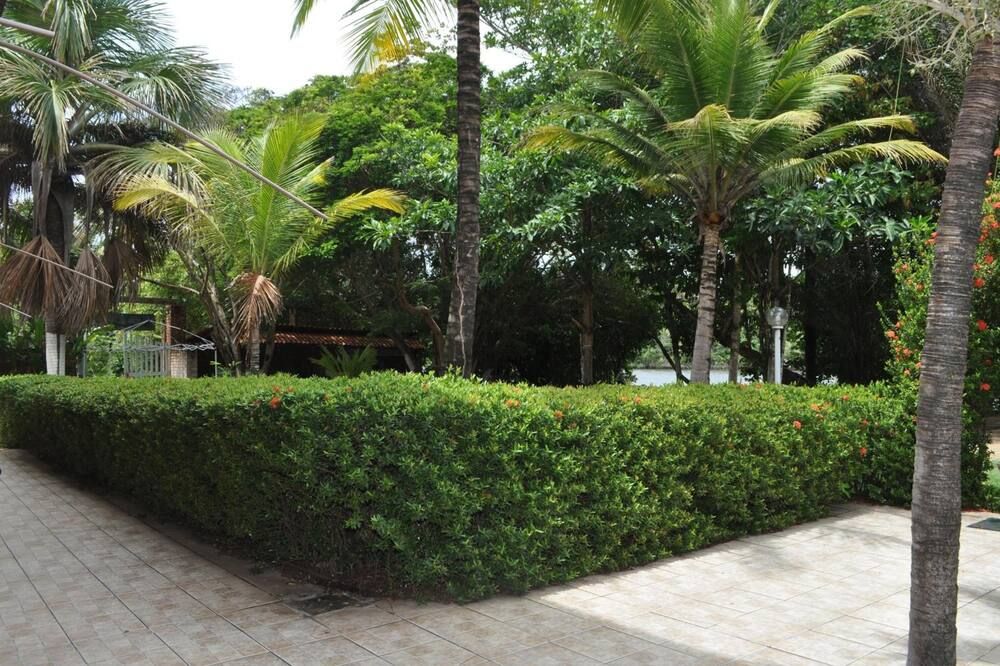 المظهر الخارجي