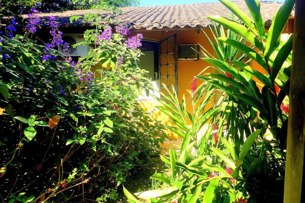 المظهر الخارجي