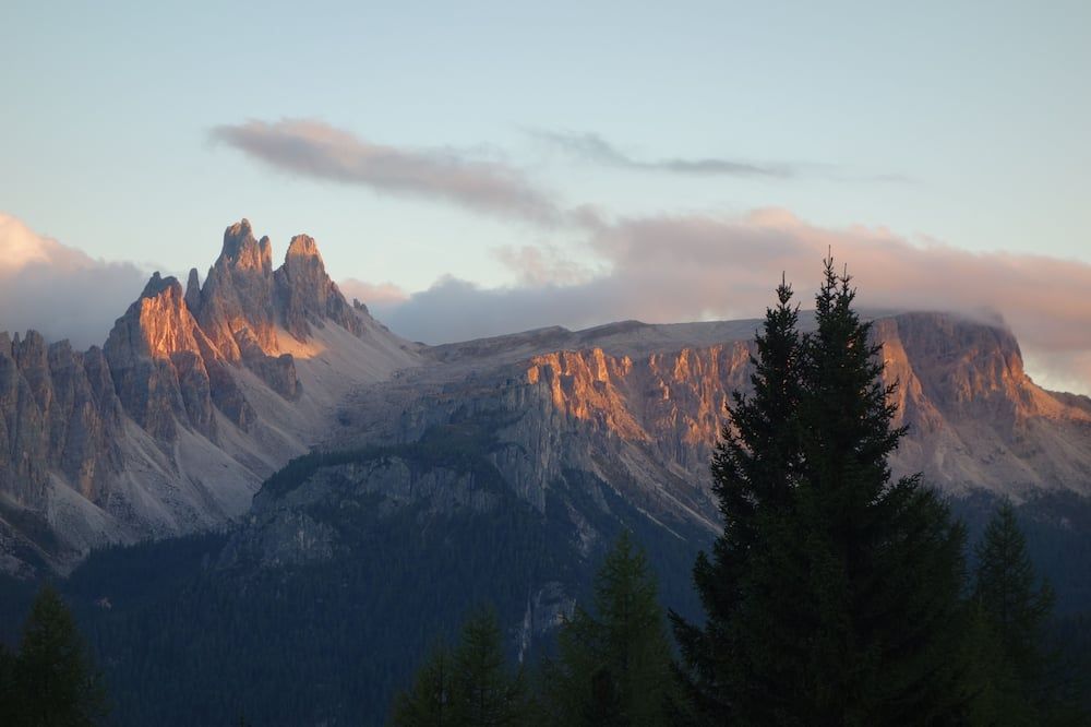 المظهر الخارجي