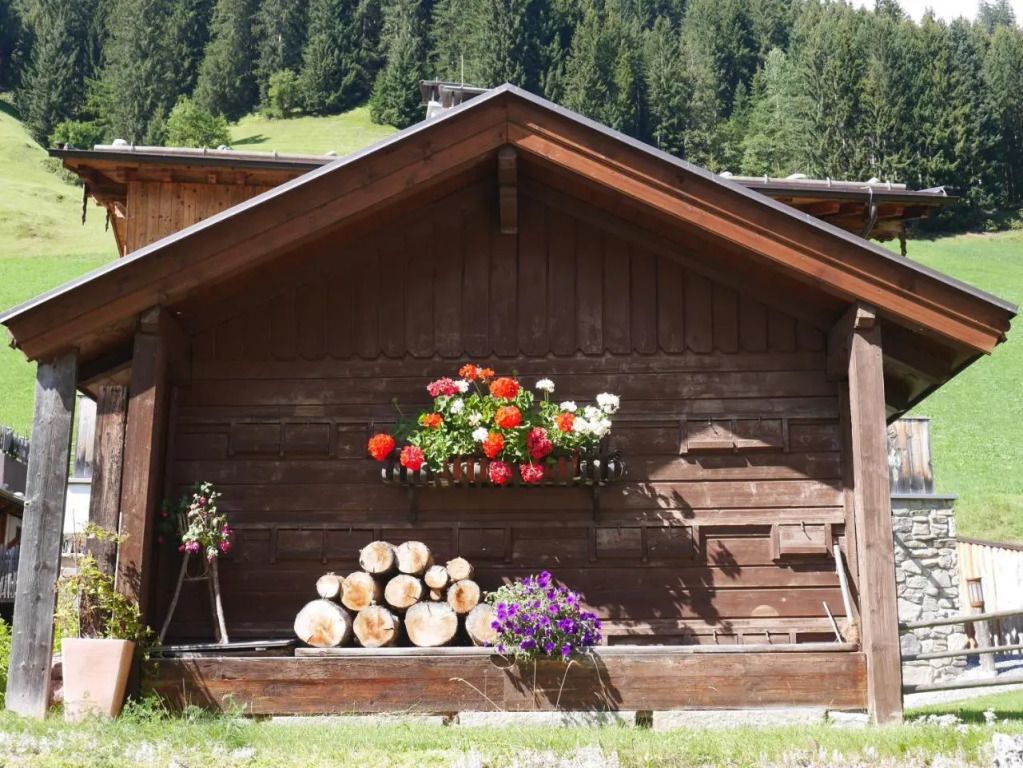 المظهر الخارجي