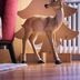 آخر