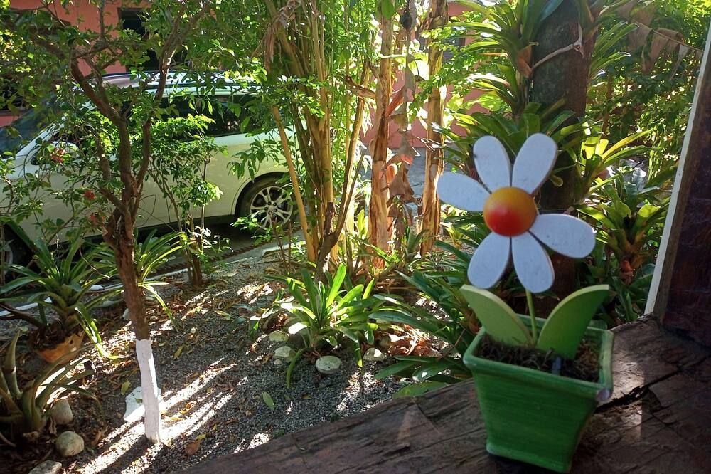 المظهر الخارجي