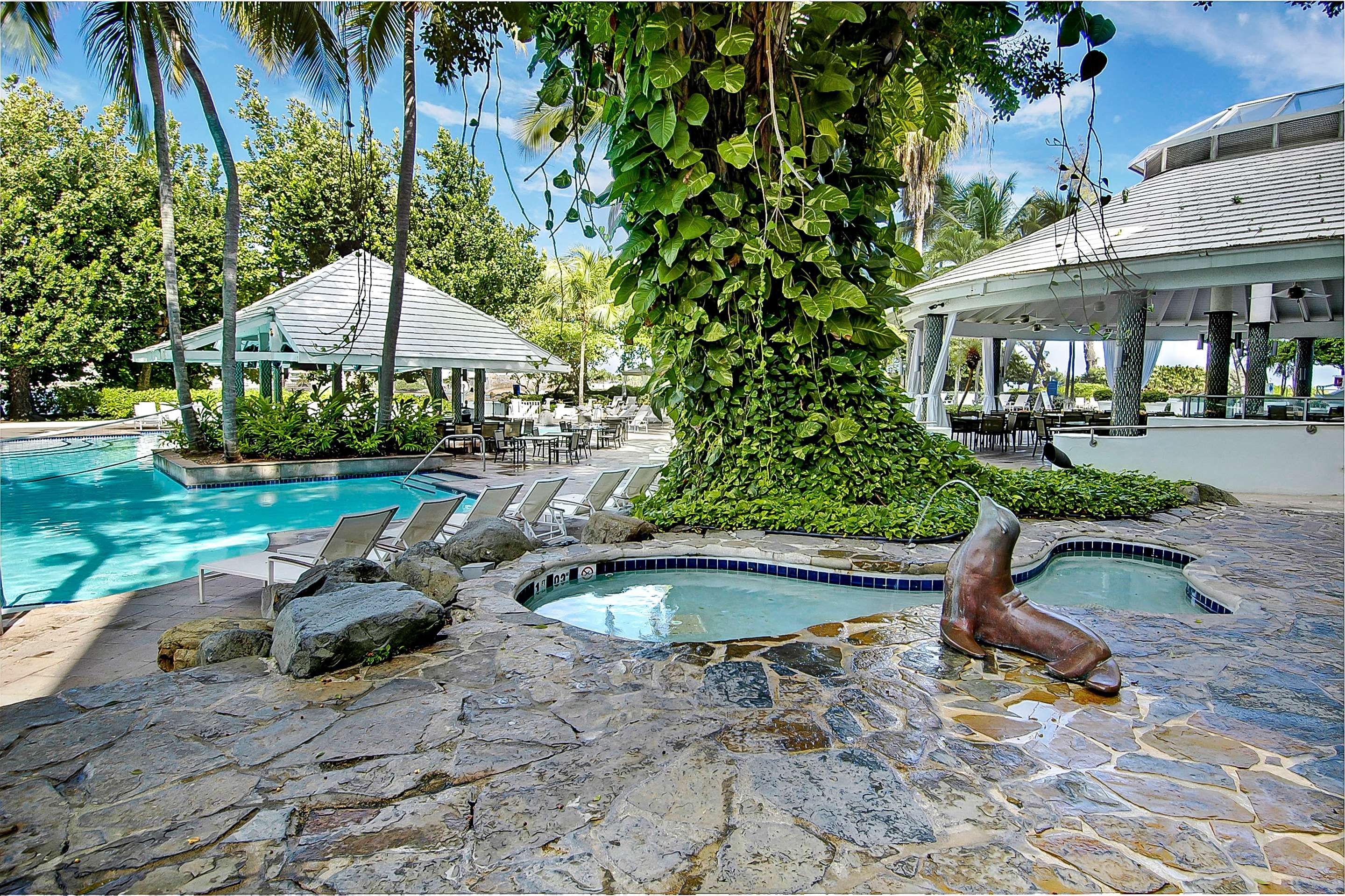 حوض السباحة