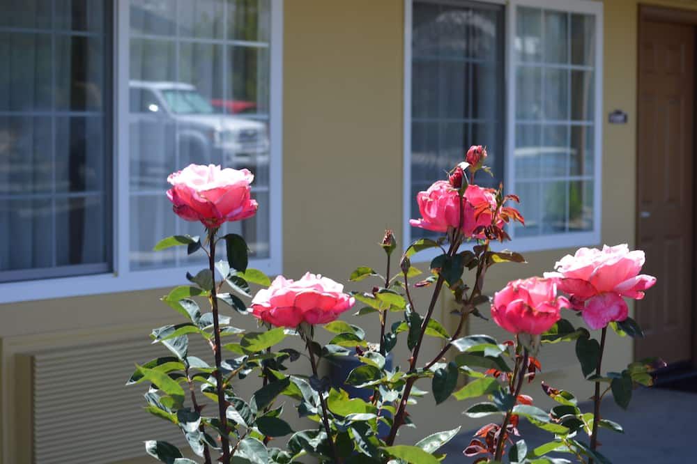 المظهر الخارجي