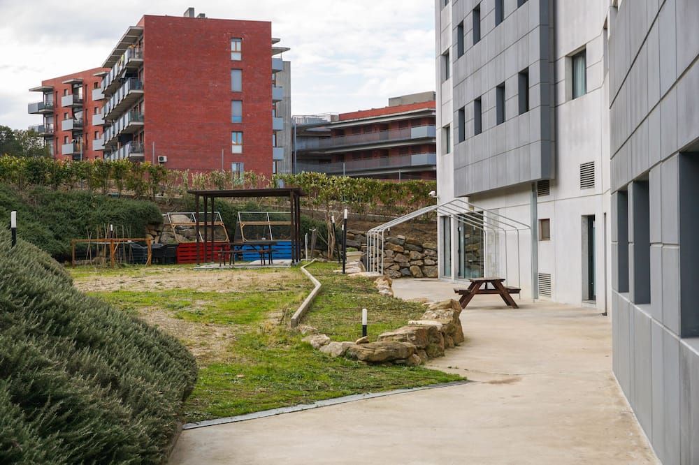 المظهر الخارجي