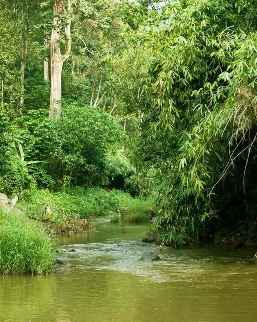 المظهر الخارجي