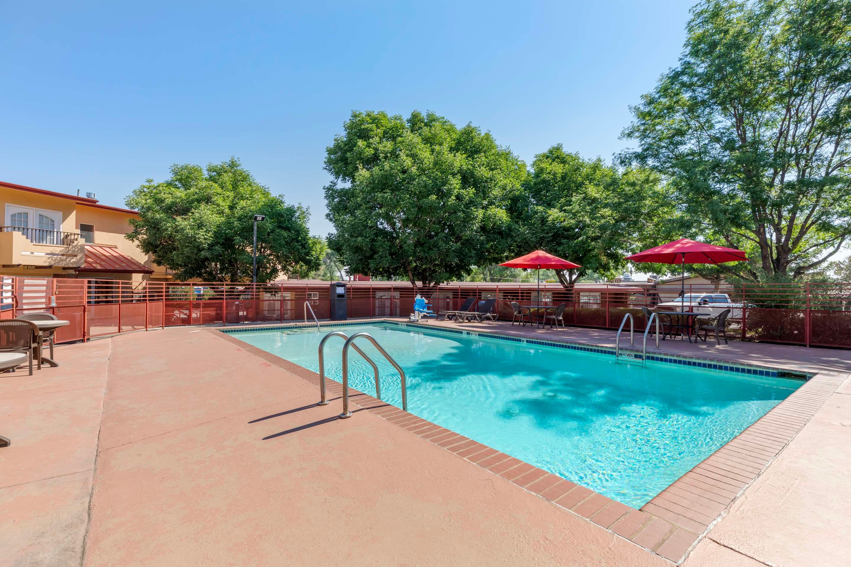 حوض السباحة